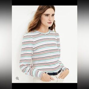 LOFT Multicolor Striped Long-Sleeve Crewneck Top
